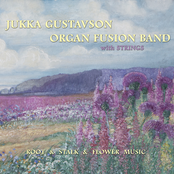 Root & Stalk & Flower Music