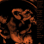 We Beheld the Last Contraction of the Seraph