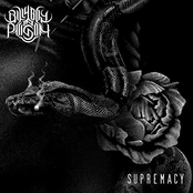 Supremacy