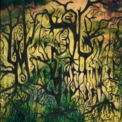 You Were in a Hurry to Make Something of Yourself