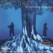 Akar Akar