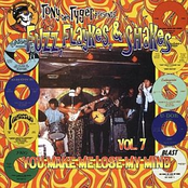 Fuzz, Flaykes, & Shakes Vol 7