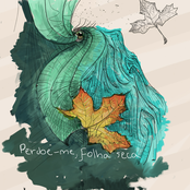 Perdoe-me, Folha Seca