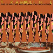 this is why we are falling for