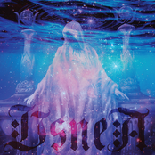 Usnea: Bathed in Light