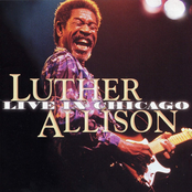 All The King's Horses by Luther Allison
