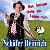 Auf Amrum steht ein Lamm rum