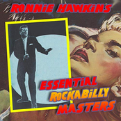 Ronnie Hawkins: Essentail Rockabilly Masters