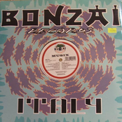 Synthetic Apocalypse