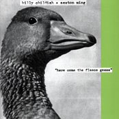 "Here Come The Fleece Geese"