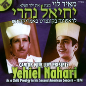 בקונצרט באמריקה 2