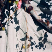 Leaf Tape