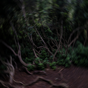 can i borrow it? (edits)