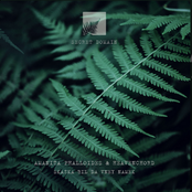 Skazka Bil Da Vney Namek