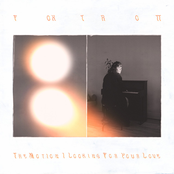 The Motion / Looking For Your Love