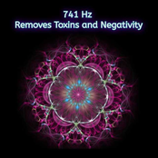 741 Hz Removes Toxins and Negativity