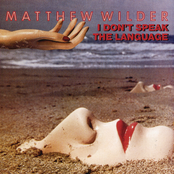 Dreams Keep Bringing You Back by Matthew Wilder