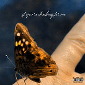 If You're Checking for Me