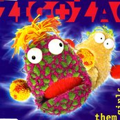 Artwork for 'Them Girls Them Girls' by Zig and Zag