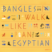 Walk like an Egyptian cover