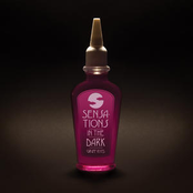 Sensations In The Dark