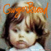 GingerBroad