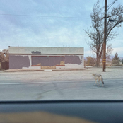 Levi Turner: Coyotes (Out in California)