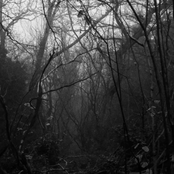 the dread inside of the fog