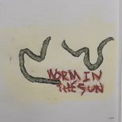 Worm in the Sun