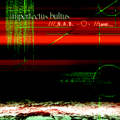 N.A.B.-O- // land