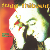 Christmas Without You by Todd Thibaud