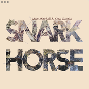 Snark Horse (feat. Kim Cass, Ben Gerstein, Jon Irabagon, Davy Lazar, Mat Maneri, Ava Mendoza, Matt Nelson, Brandon Seabrook)