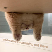 maybe there's something out there