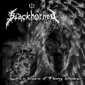 In a Swarm of Flaming Shadows