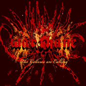 The Gallows Are Calling