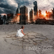 Limberlost: Good Fight
