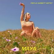 MAYA