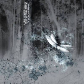 A Gift For Your Dreams Wisp