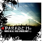 Where Do All These Spiders Hide