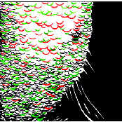 Secrets to Superflipping