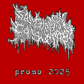 promo 2025