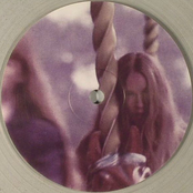 Sulla Giostra Nell'Ombra