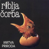 Mrtva priroda