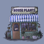 House Plants