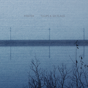 Tulips & Six Flags EP