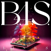 B.4.S.
