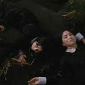 instinto desvanecido