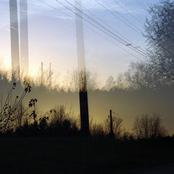 say it, don't spray it