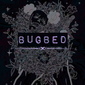 bugbed