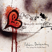 Through The Looking Glass by Peter Doherty